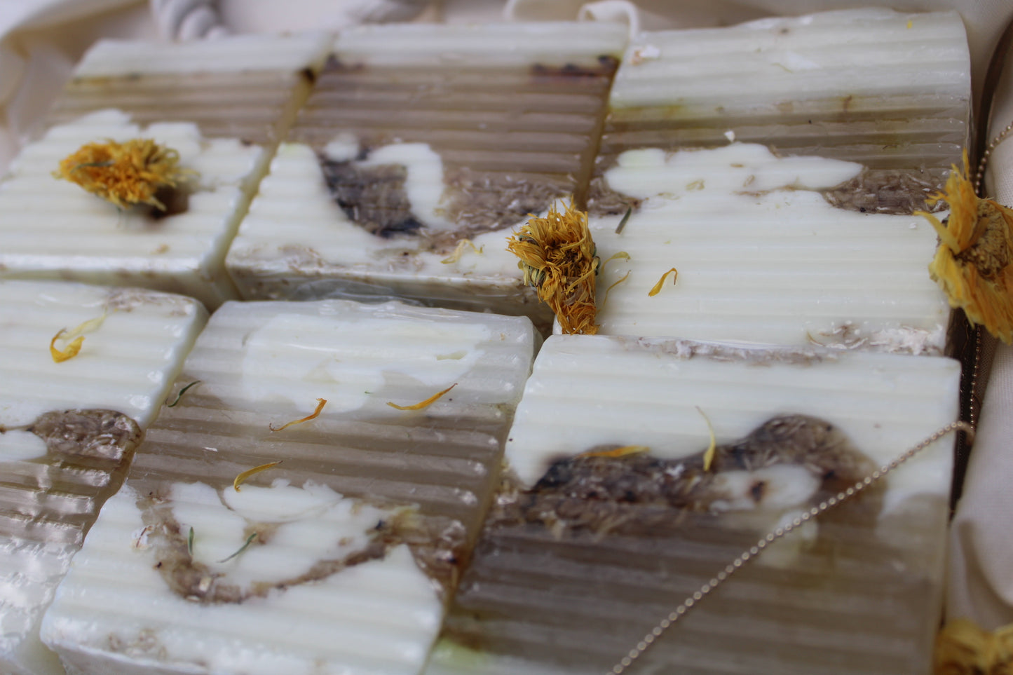 Oatmeal medley Set - La Vinci’s