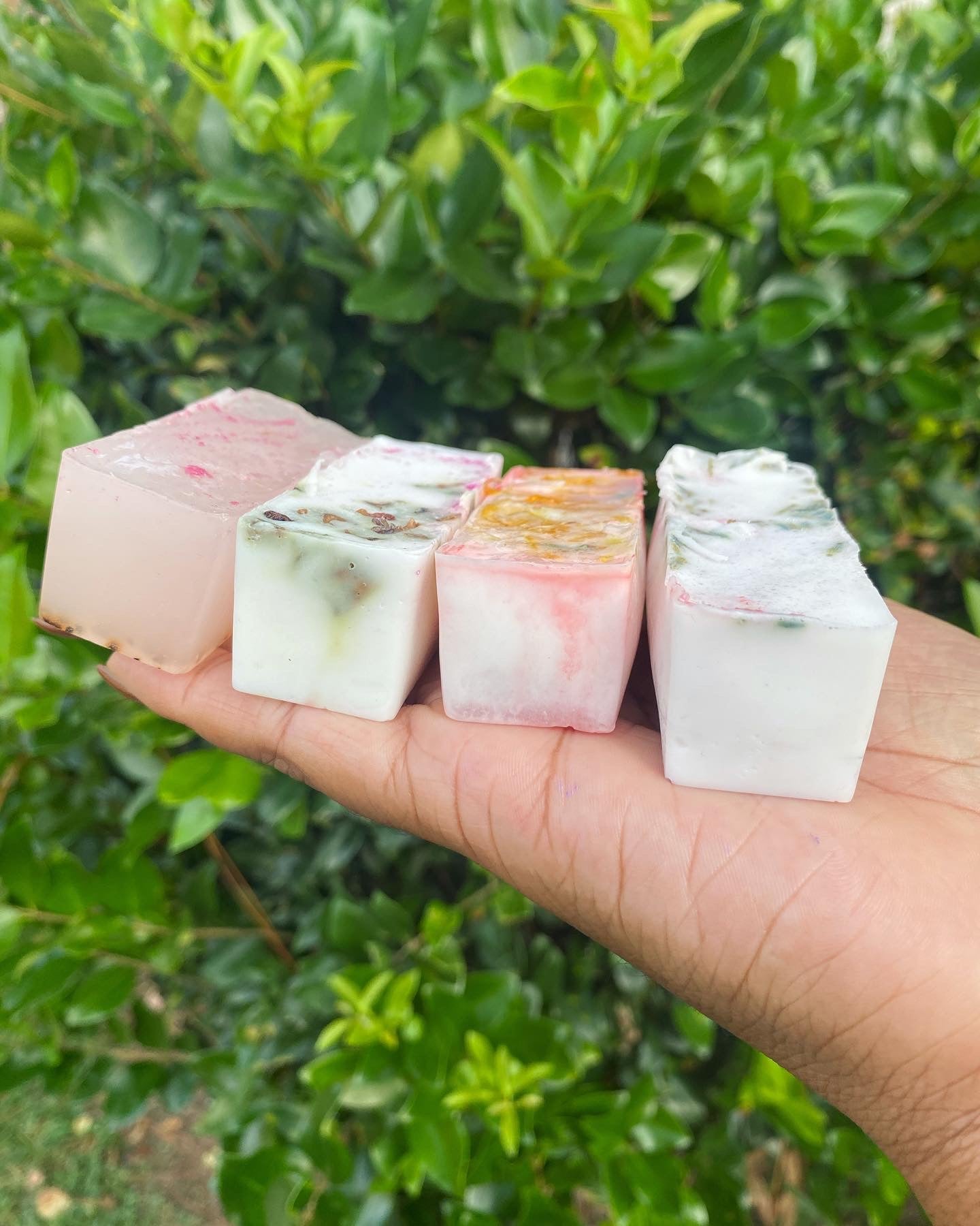 Sample Bars ! - La Vinci’s